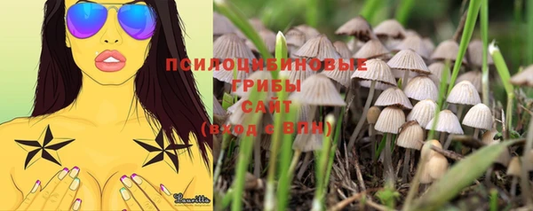 мяу мяу мука Алексеевка