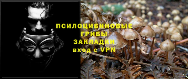 2c-b Алексин