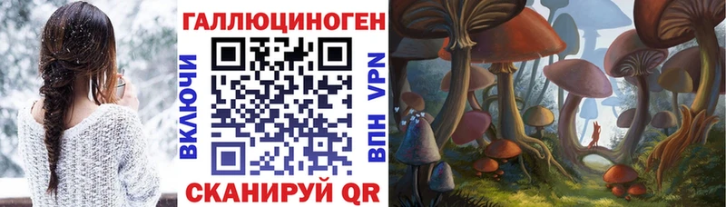 omg ONION  Россошь  Псилоцибиновые грибы ЛСД 